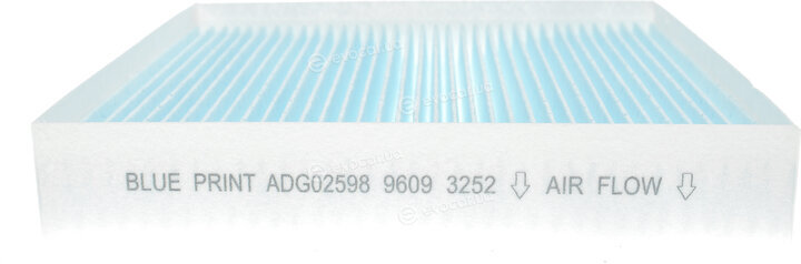 Blue Print ADG02598