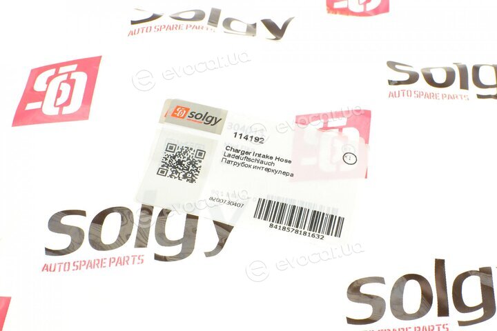 Solgy 114192