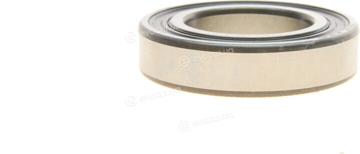 SKF 6007-2RS1