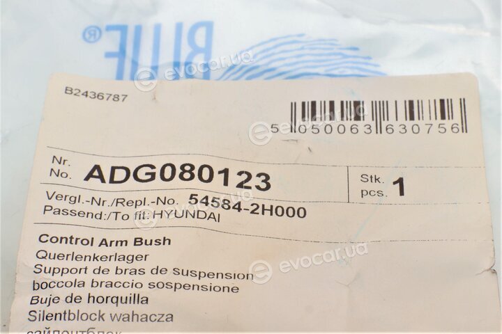 Blue Print ADG080123