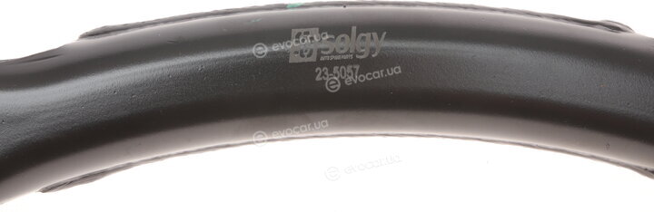 Solgy 204062