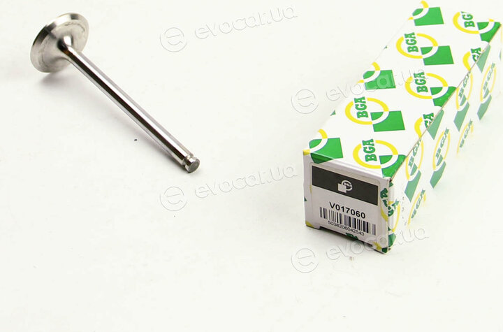 BGA V017060