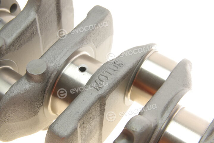 Motus MTS 0560