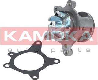 Kamoka T0163