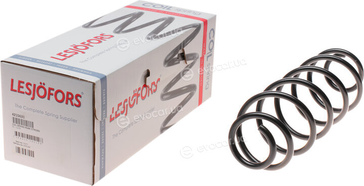 Lesjofors 4215631