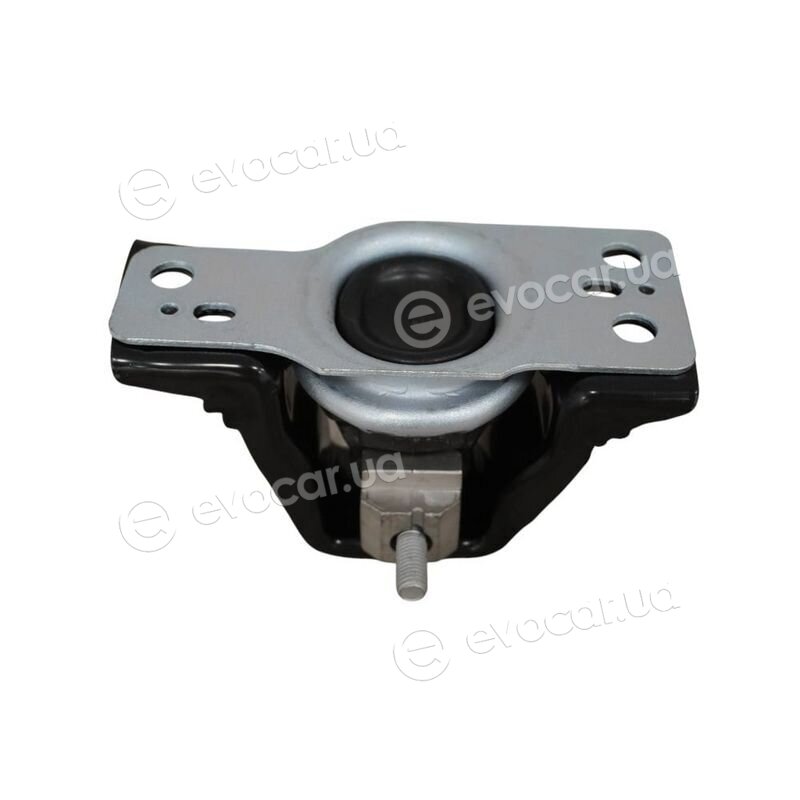 Asam 116303