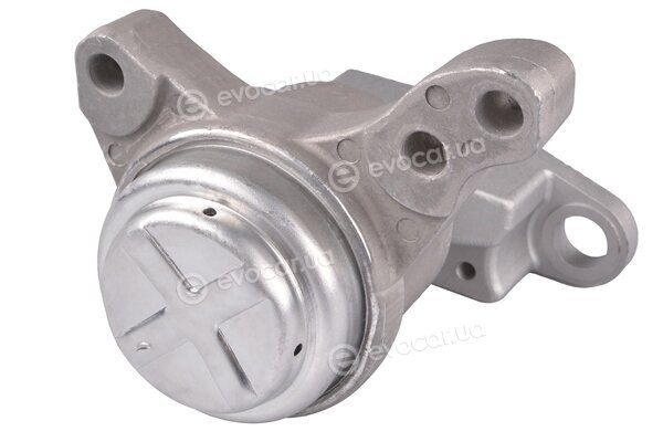 Tedgum 87085