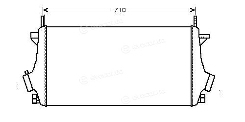 Starline A OLA 4476