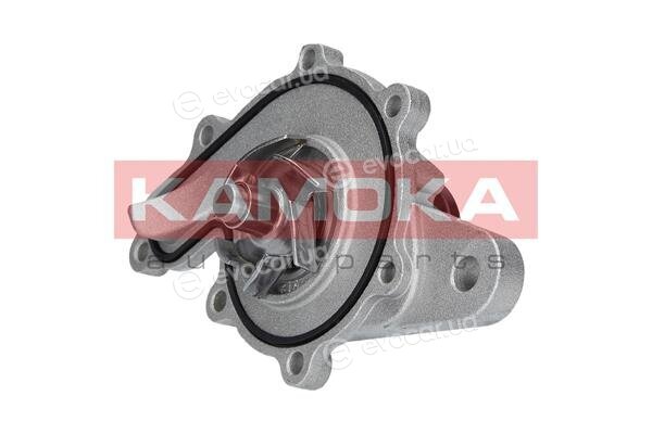 Kamoka T0259