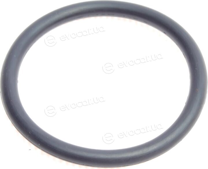 Elring 573.350