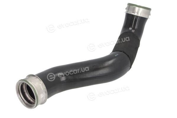 Thermotec DCM081TT