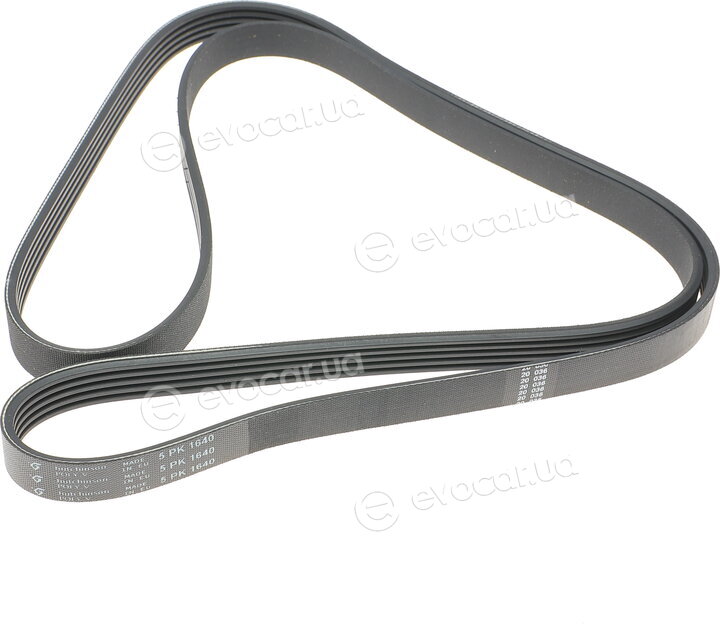 Hutchinson 1640 K 5