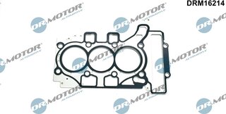 Dr. Motor DRM16214