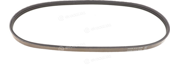 Dayco 3PK700