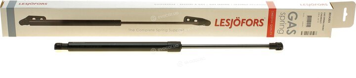 Lesjofors 8014203