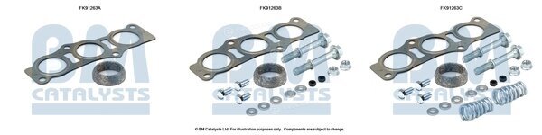 BM Catalysts FK91263