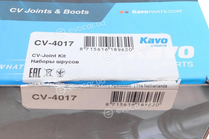 Kavo CV-4017