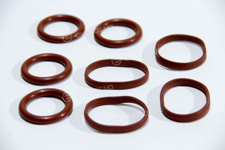 Elring 469.080