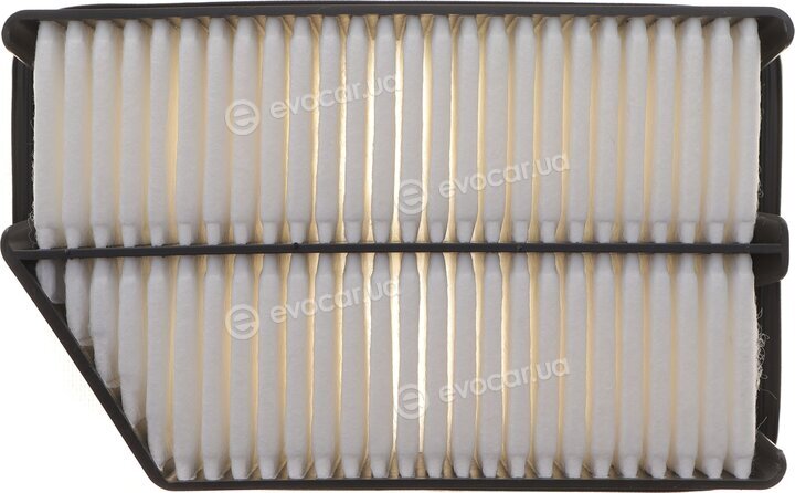 Solgy 103170