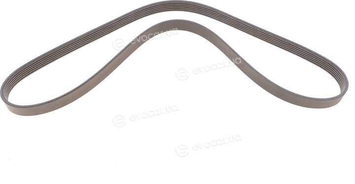 Continental 6PK1157 EXTRA K1