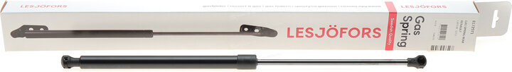 Lesjofors 8172971