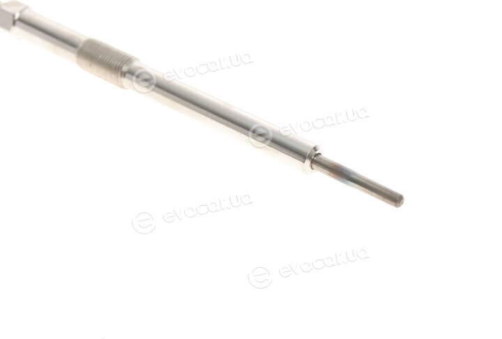 Solgy 116036