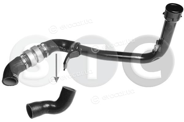 Metalcaucho / STC T499138