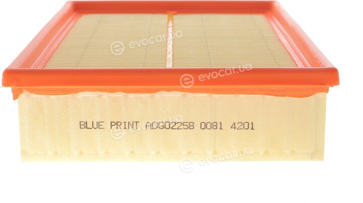 Blue Print ADG02258