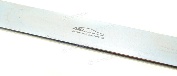 AIC 55745