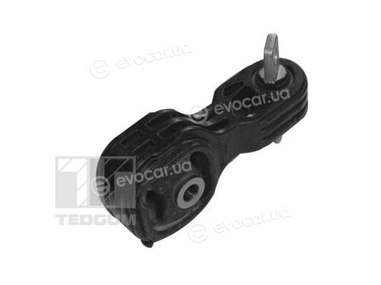 Tedgum 00269395