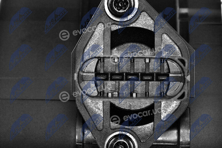 NTY EPP-BM-004