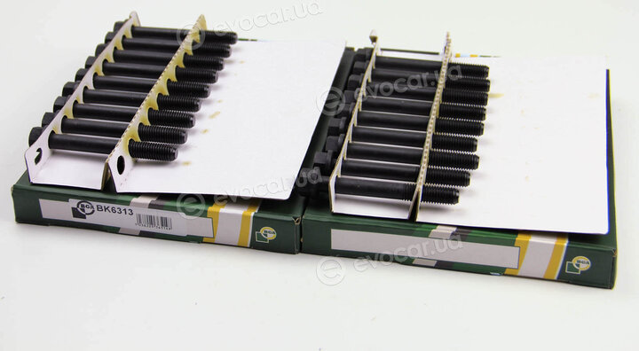 BGA BK6313