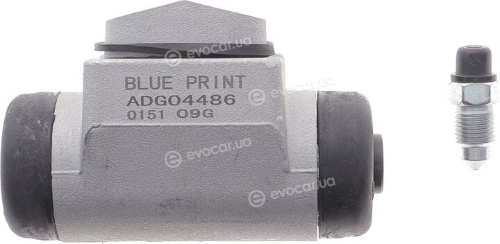 Blue Print ADG04486