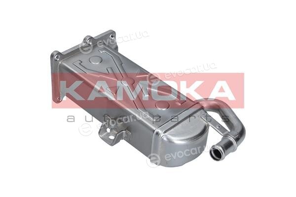 Kamoka 19C071