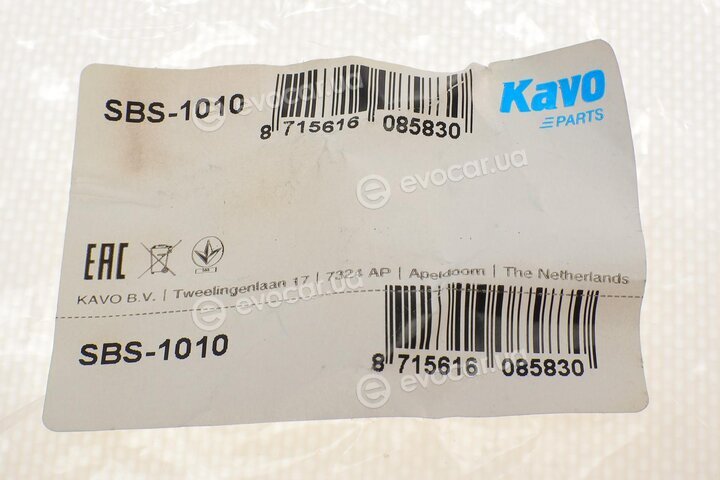 Kavo SBS-1010