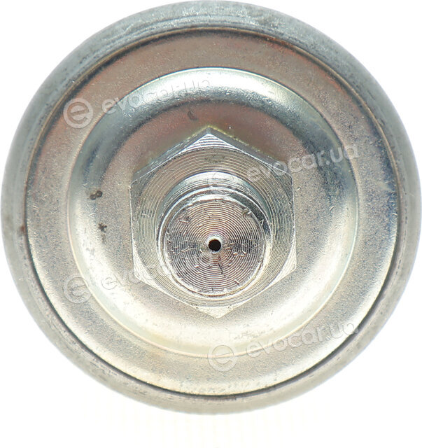 Adler 0065429417