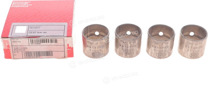 Mahle 039 BS 18761 300