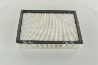 Champion CAF100507P