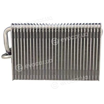 Bapmic TOPT1154001