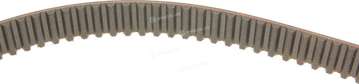 Gates K025491XS