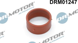 Dr. Motor DRM01247