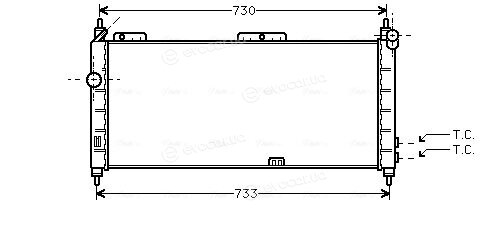 AVA OLA2203