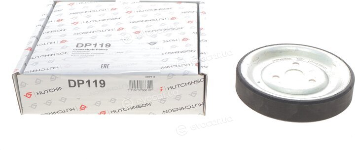 Hutchinson DP 119