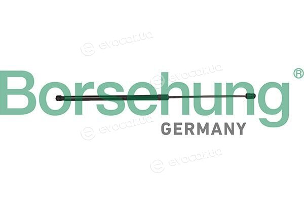 Borsehung B13099