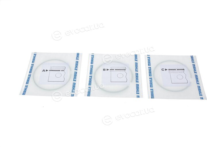 Mahle 009 81 N2