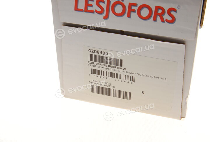 Lesjofors 4208490