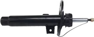 BMW / Mini 31316879310