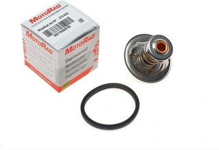 Motorad 373-82K