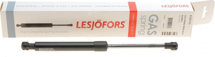 Lesjofors 8100719