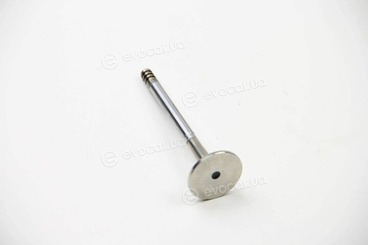 BGA V331036
